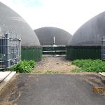 Bioplynová stanice Žlutice