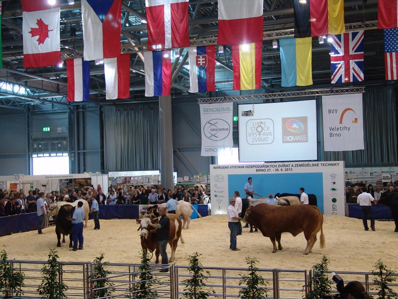 Národní výstava hospodářských zvířat a zemědělské techniky v Brně
