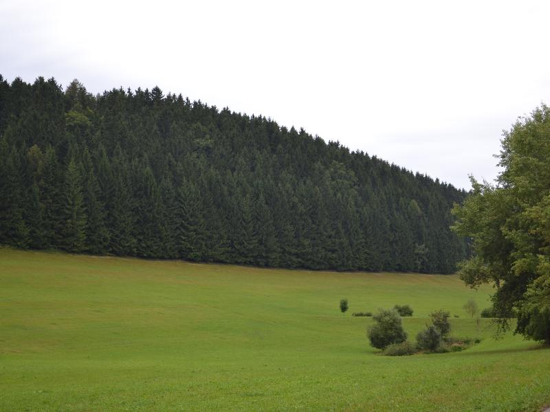 Obec Suchý Důl, Královéhradecký kraj