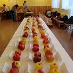 Organoleptické hodnocení odrůd jablek 