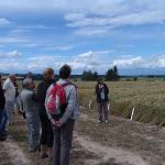 Den zemědělského zkušebnictví ukázal i perspektivy českého zemědělství 