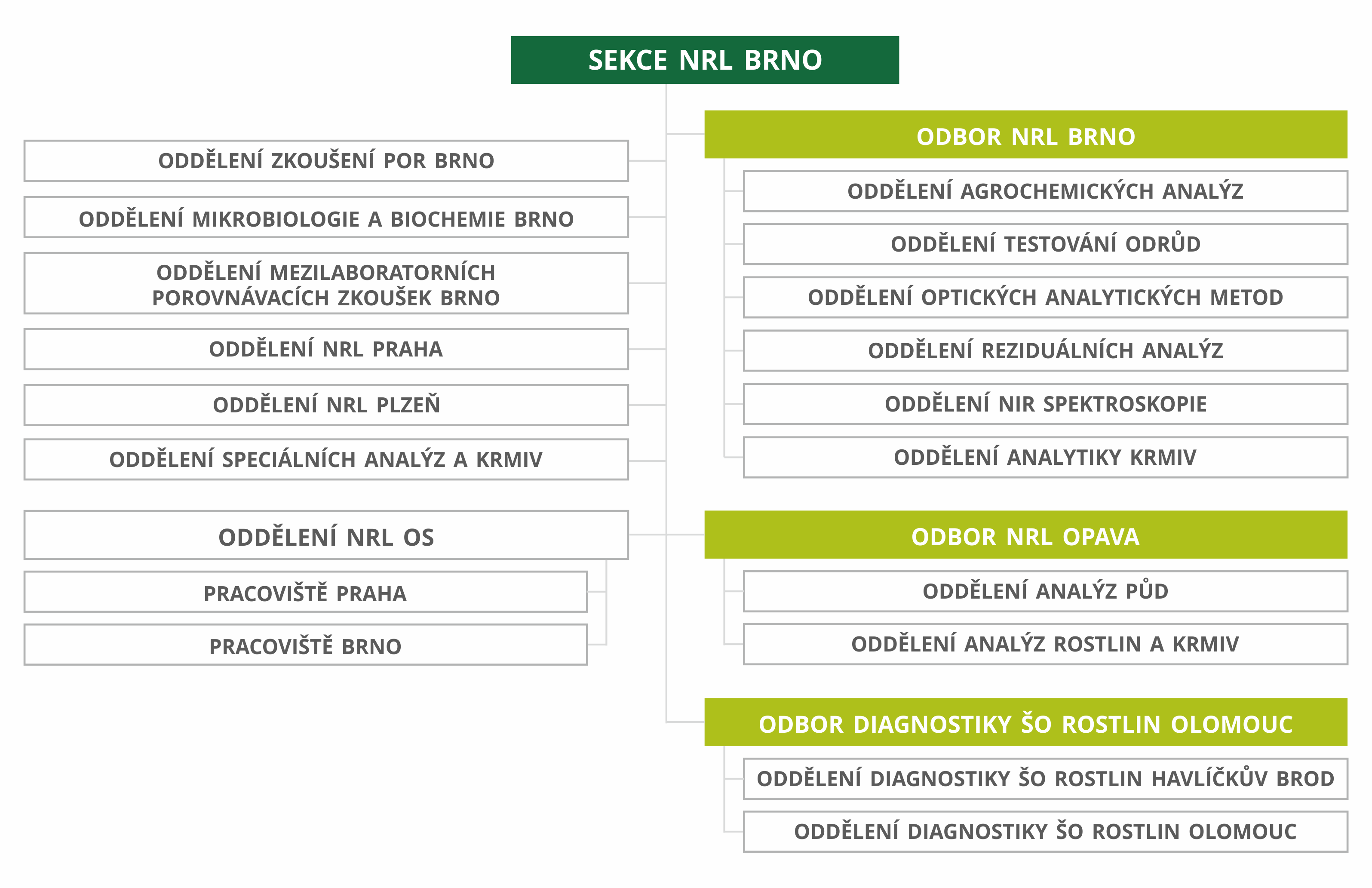 NRL organizační schéma