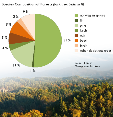 Species Composition of forests