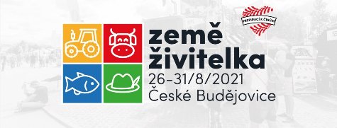 logo ZZ 2021