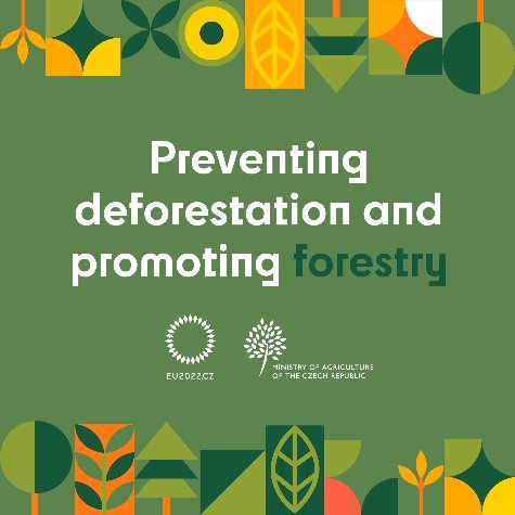The EU's contribution to the protection of the world's forests and sustainable forestry.